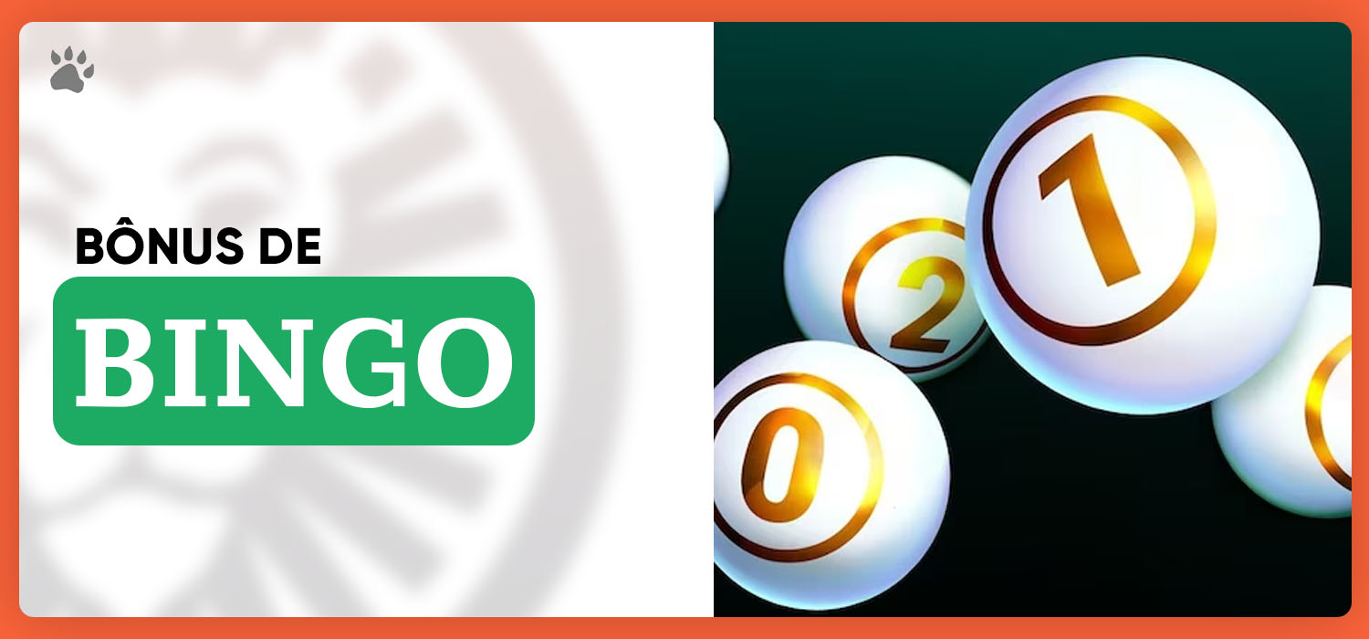 bônus de bingo online no leovegas